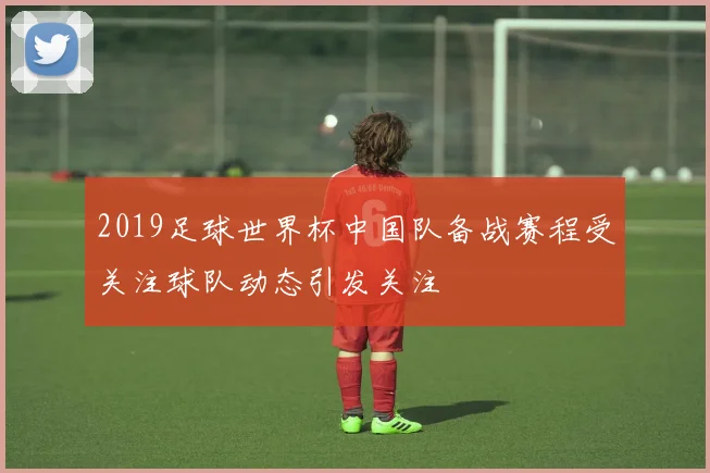 2019足球世界杯中国队备战赛程受关注球队动态引发关注